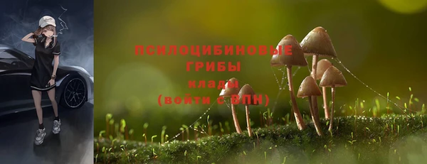 мяу мяу мука Осинники