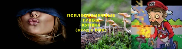 гидропоника Алексин