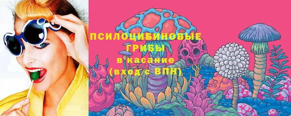 не бодяженный Осташков